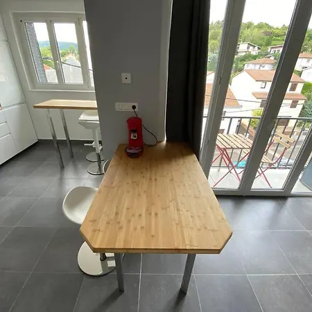 Charmant 50M2 Clermont-Ferrand Vue Puy-De-Dome Buitenkant foto