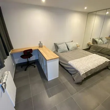Charmant 50M2 Clermont-Ferrand Vue Puy-De-Dome Buitenkant foto