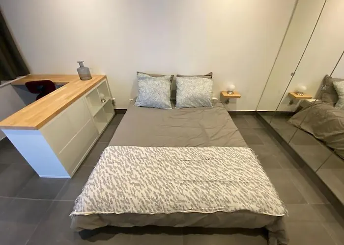 Charmant 50M2 Clermont-Ferrand Vue Puy-De-Dome